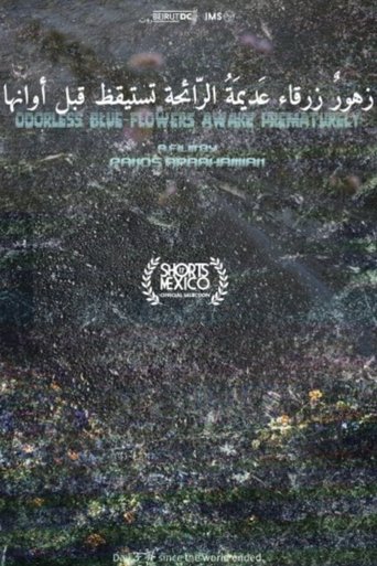Poster of Odorless Blue Flowers Awake Prematurely