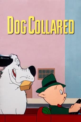 Poster of Dog Collared