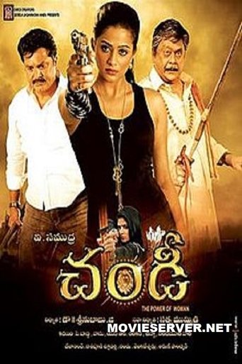 Poster of Chandi: The Power of Woman