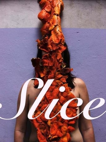 Poster of Slice