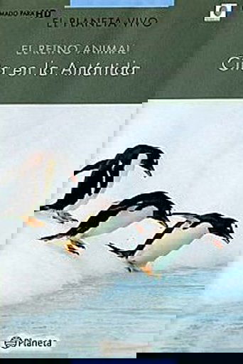 Poster of Rush Hour in Antarctica