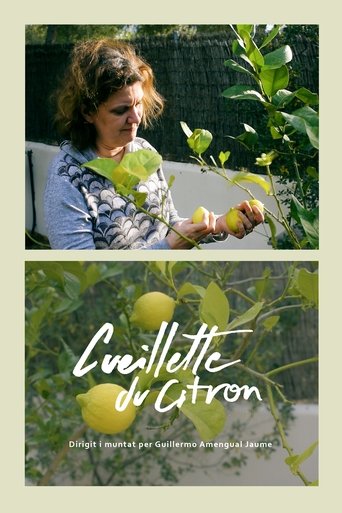 Poster of Cueillette du citron