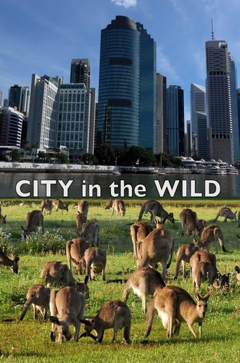 City In The Wild Poster of City In The Wild