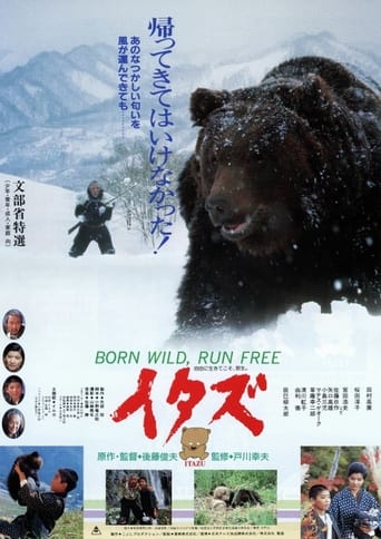 Poster of The Forest of the Little Bear