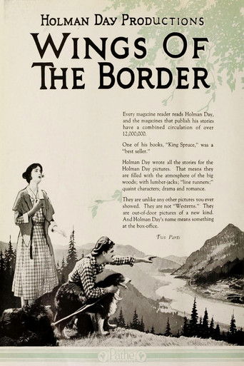 Poster of Wings of the Border