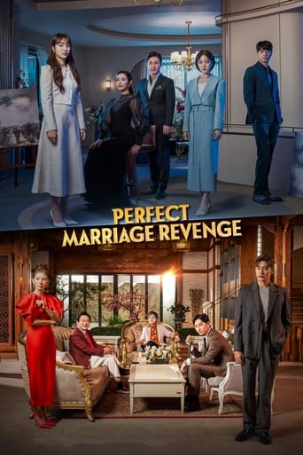 Poster of Perfect Marriage Revenge