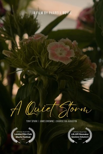 Poster of A Quiet Storm