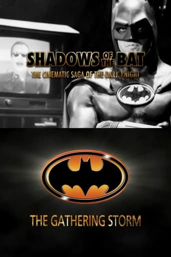 Poster of Shadows of the Bat: The Cinematic Saga of the Dark Knight - The Gathering Storm