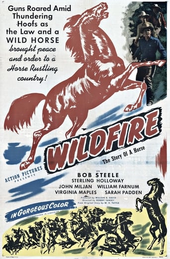 Poster of Wildfire