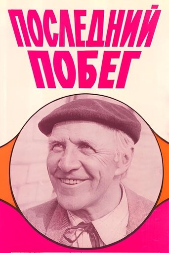 Poster of The Last Escape