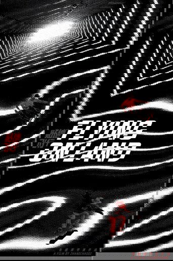 Poster of Flying On Land