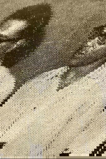 Portrait of Ajit Gangopadhyay