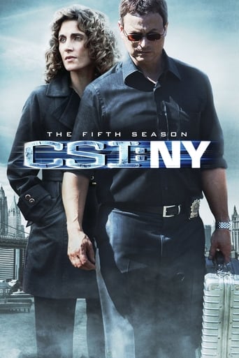 Portrait for CSI: NY - Season 5