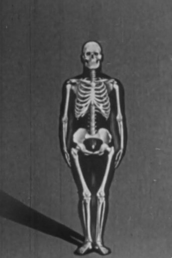 Poster of Human skeleton, structure and joints - Part I