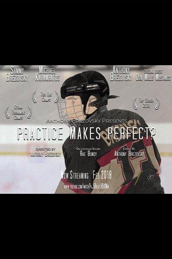 Practice Makes Perfect? Poster of Practice Makes Perfect?