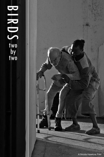 Poster of Birds Two by Two