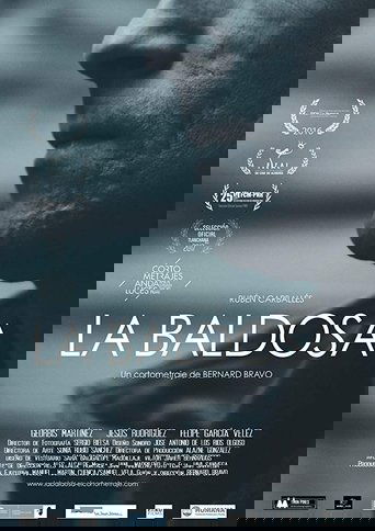 Poster of La baldosa