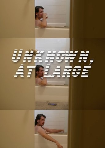 Poster of Unknown, At Large