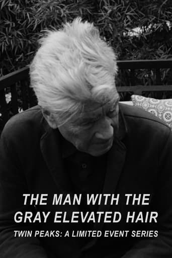 Poster of The Man with the Gray Elevated Hair