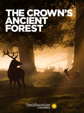 Poster of The Crown's Ancient Forest