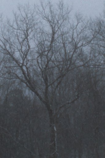 Snowfall Poster of Snowfall
