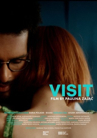 Poster of Visit