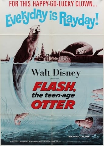 Poster of Flash, The Teenage Otter