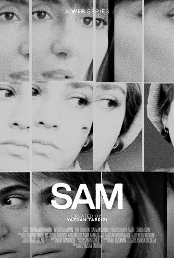 SAM Poster of SAM