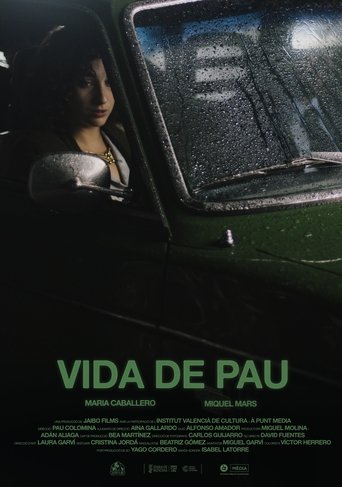 Poster of Vida de pau