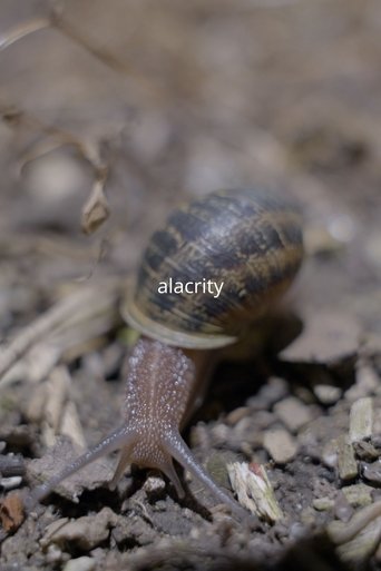 Alacrity Poster of Alacrity