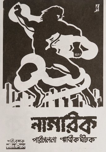 Poster of The Citizen