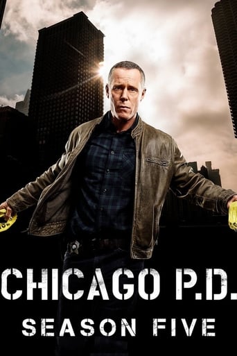 Portrait for Chicago P.D. - Season 5