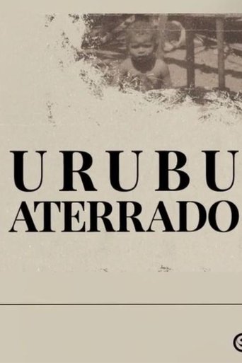 Poster of Urubu aterrado