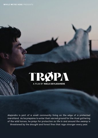 Tropa Poster of Tropa