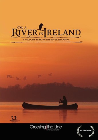 Poster of On a River in Ireland