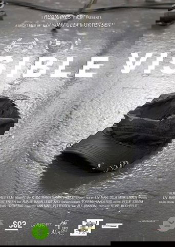 Poster of Visible