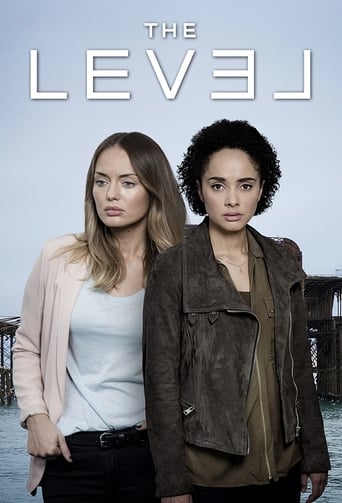 Poster of The Level