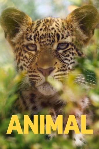 Portrait for Animal - Season 1