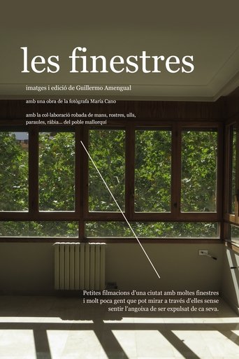 Poster of The windows