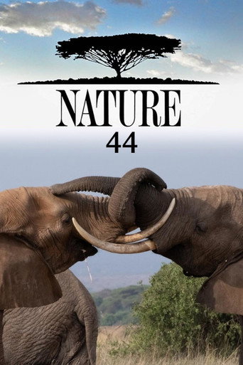 Portrait for Nature - Season 44
