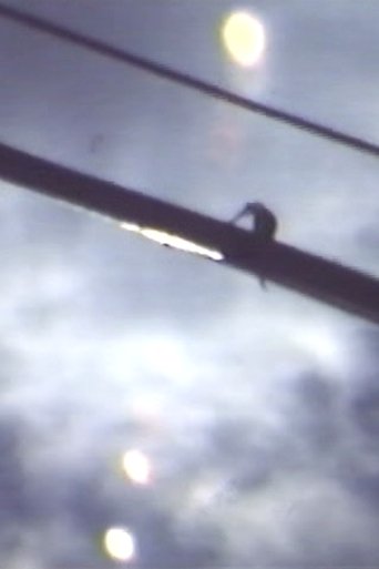 Poster of Skylight