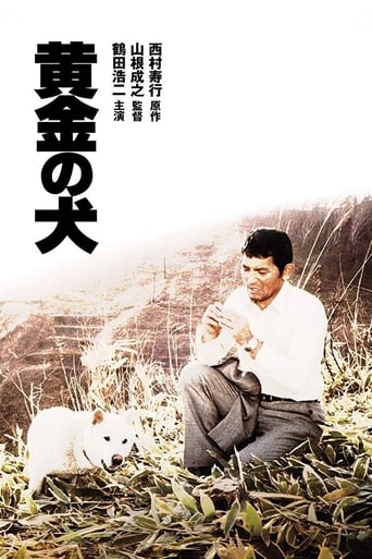Poster of Dog of Fortune