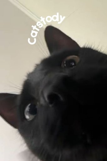 Poster of Catstody
