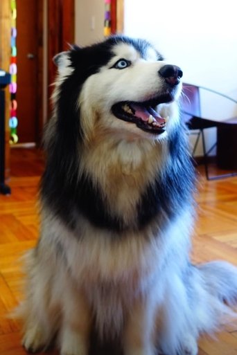 Portrait of Taro