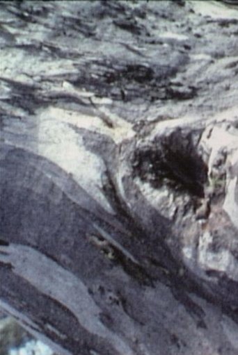 Poster of Twisty