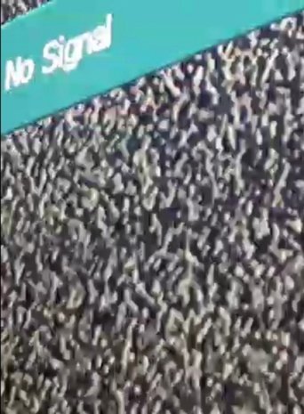 Poster of No Signal