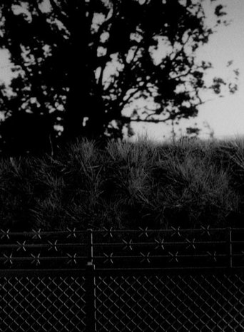 Arbor Poster of Arbor