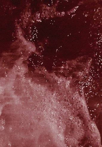 Poster of Maré Terra