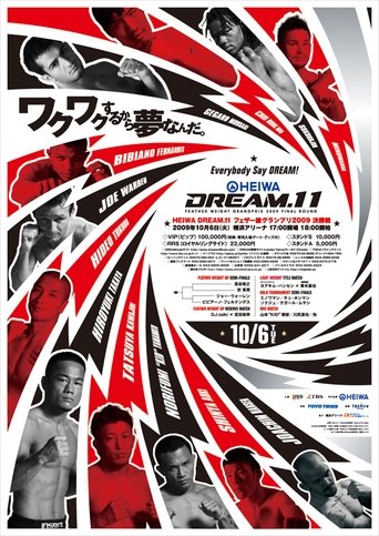 DREAM 11 Poster of DREAM 11