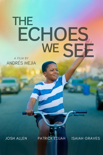 Poster of The Echoes We See